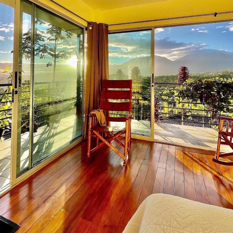 Marsella Hotel Finca 360 מראה חיצוני תמונה